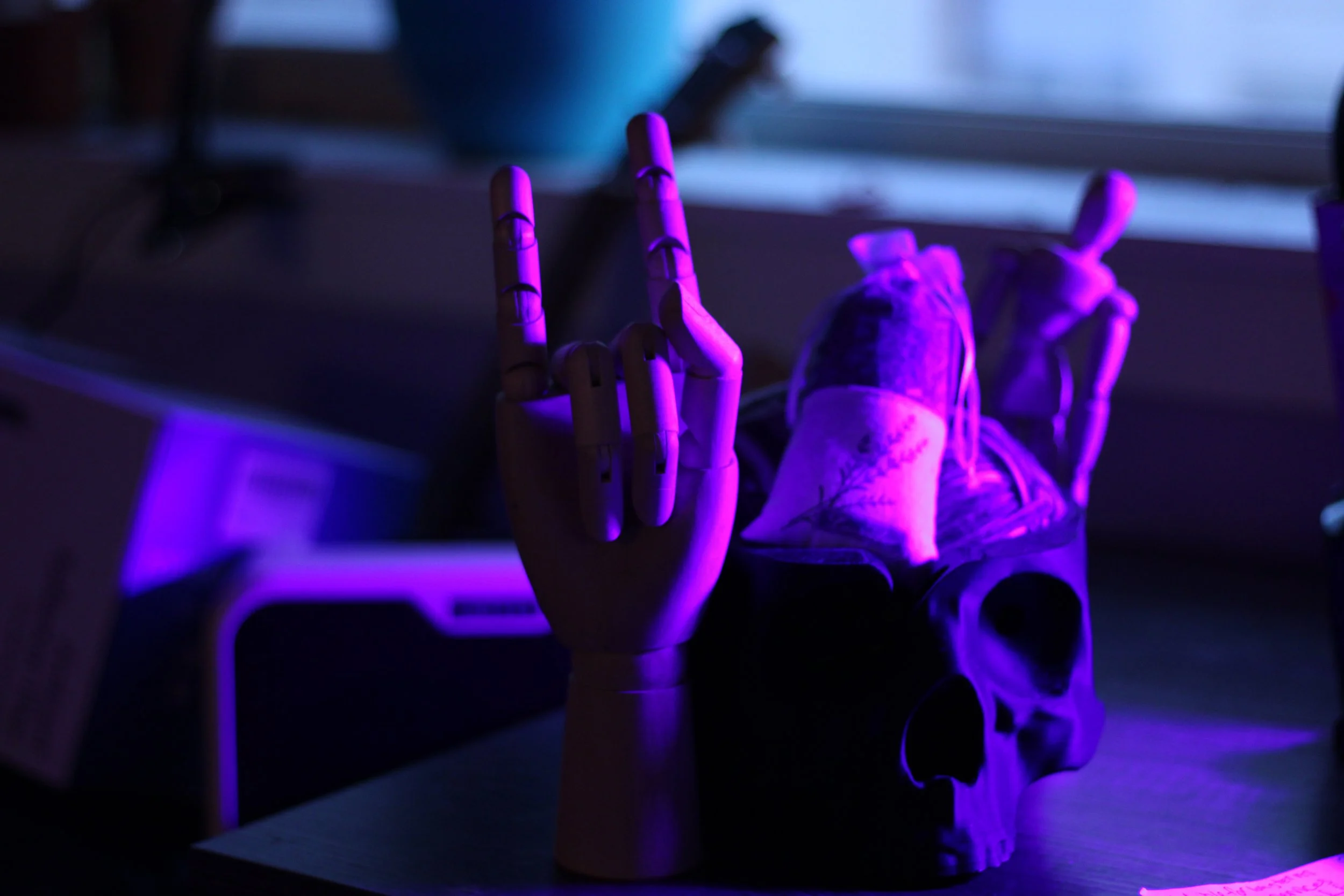 skull.jpeg
