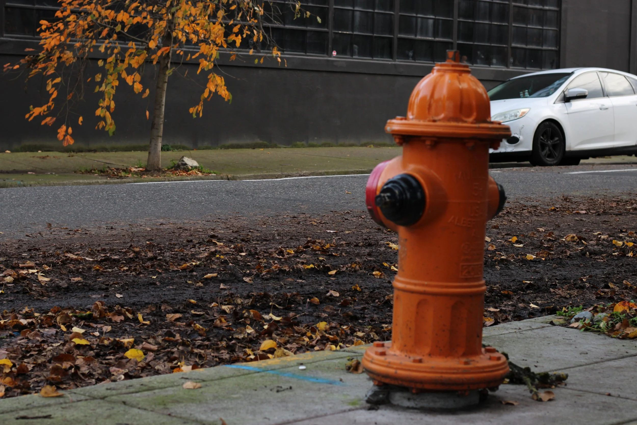Fire Hydrant