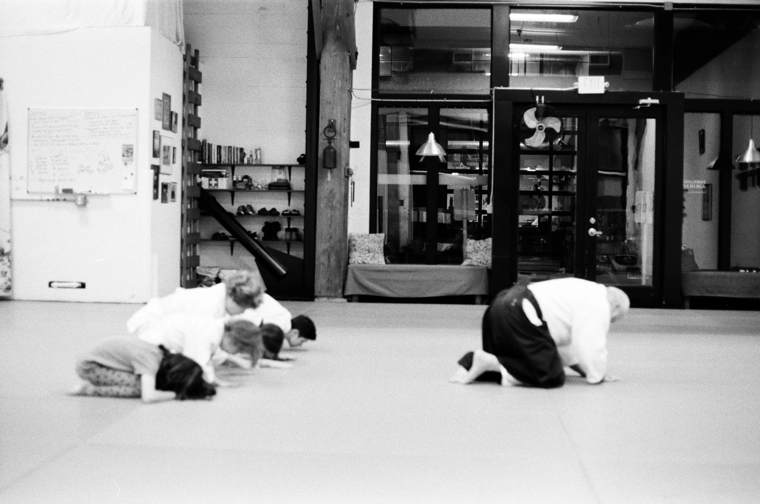 The Dojo
