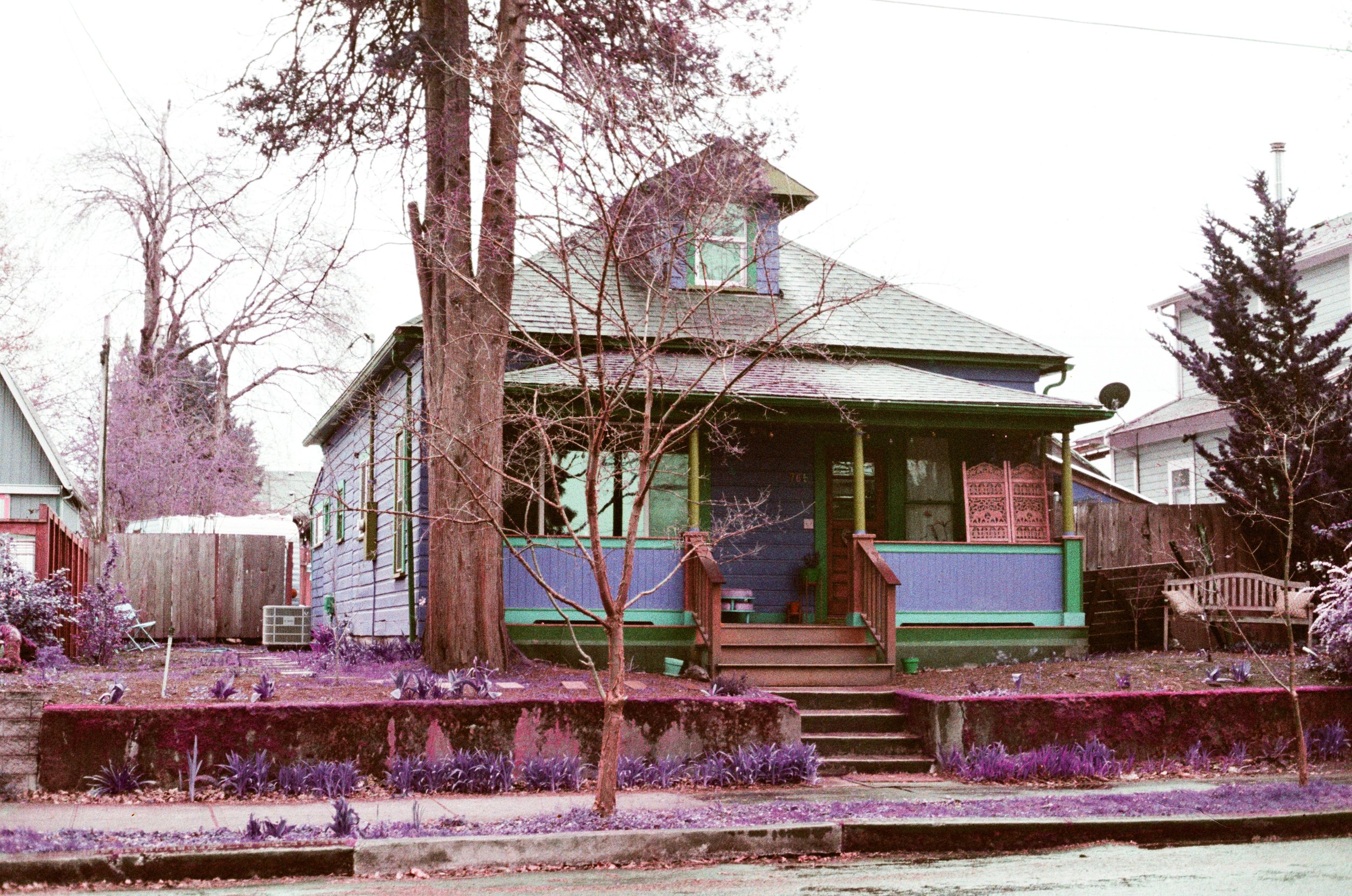 000013790022.jpg
