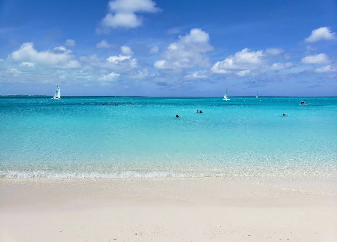 What Beach is Right For You
