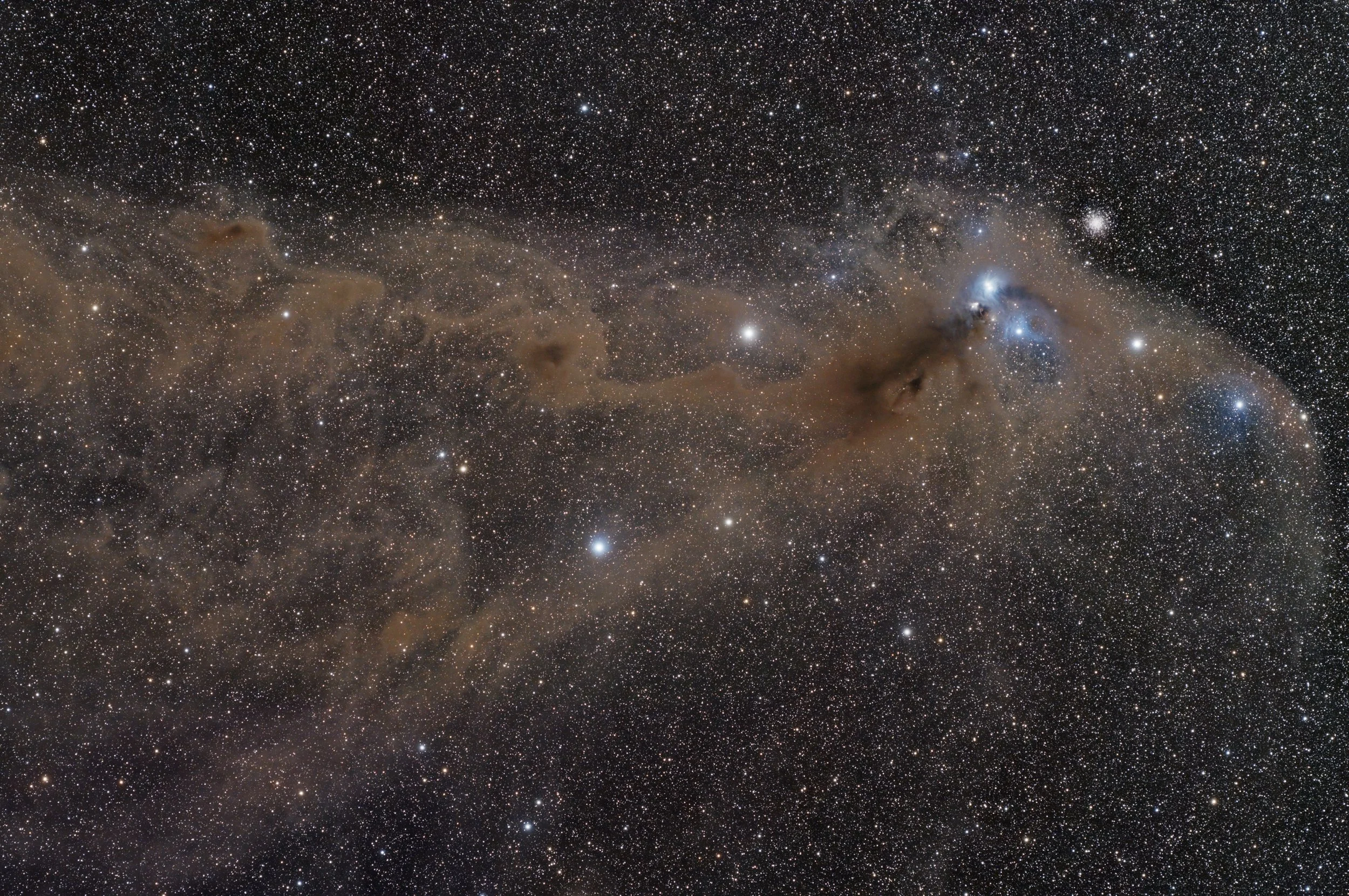 Dust in Corona Australis
96x180s
William Optics RedCat 51 
ASI2600MC Pro
Tivoli Namibia