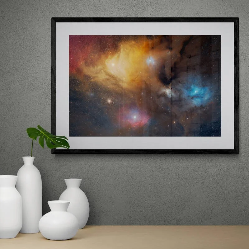 ceramic-vases-and-a-plant-sitting-on-a-shelf (2).jpg