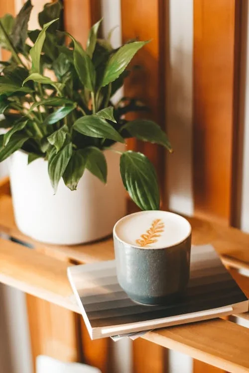 A potted green plant on a wooden surface next to a cup of coffee with a latte art leaf, placed on two stacked books.