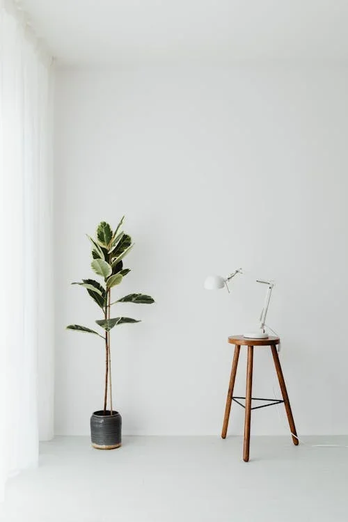 Indoor minimalist setup with a potted plant and a wooden stool holding a white desk lamp, against a white wall and floor.