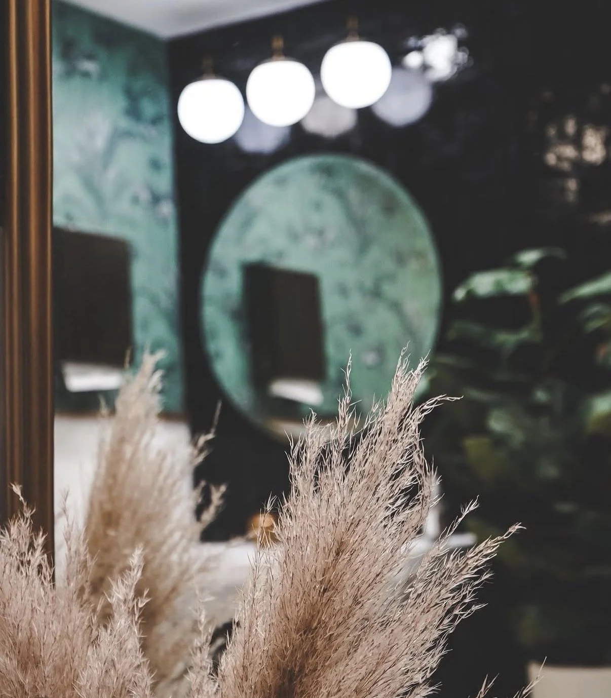A mirror with a gold frame reflecting a room with a dark wall, round ceiling lights, a window, and some plants in the background. In the foreground, there are light-colored pampas grass stalks.