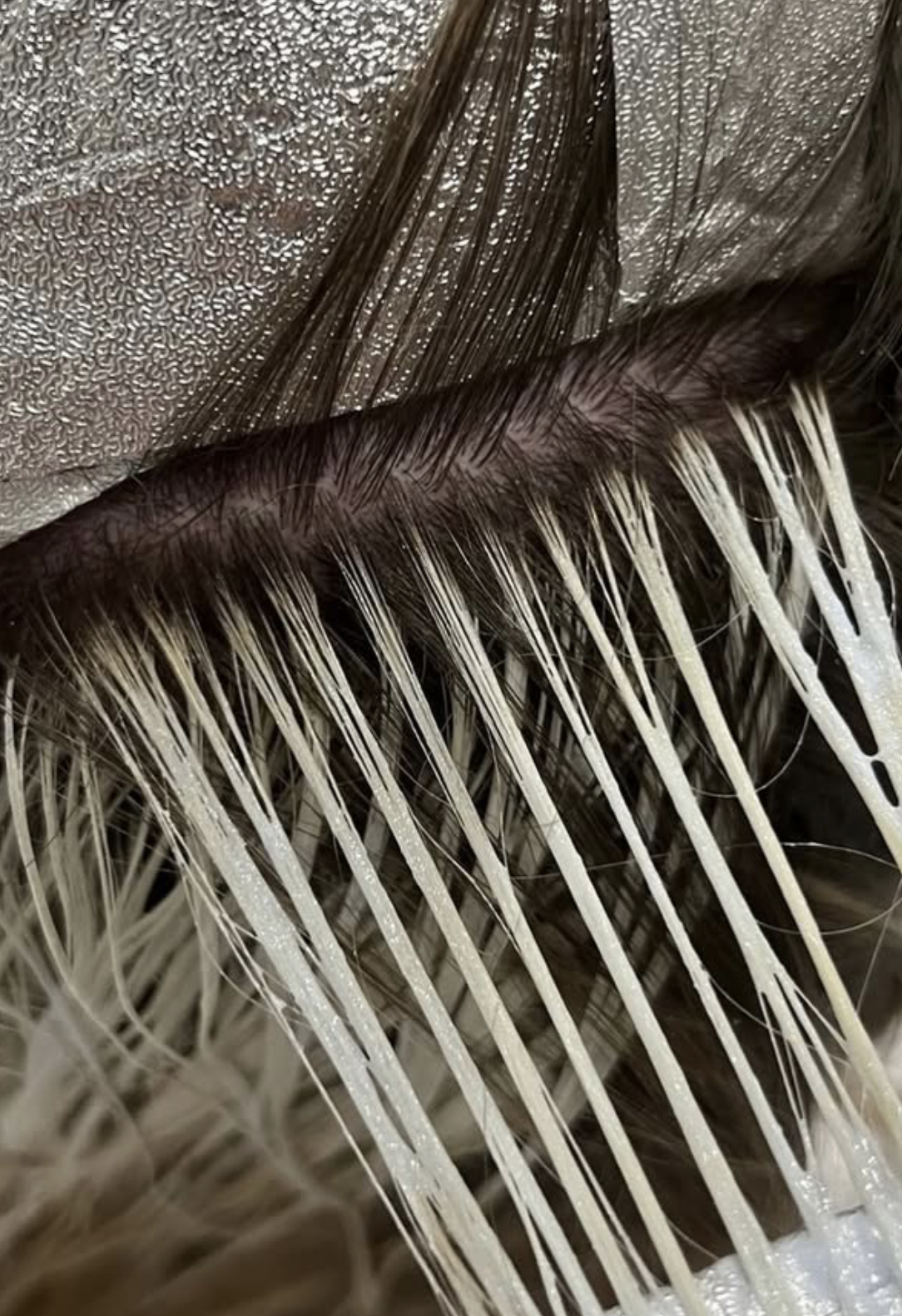 Close-up image of hair on a human scalp, showing the separation between the scalp and hair, with some hair strands and scalp details visible.