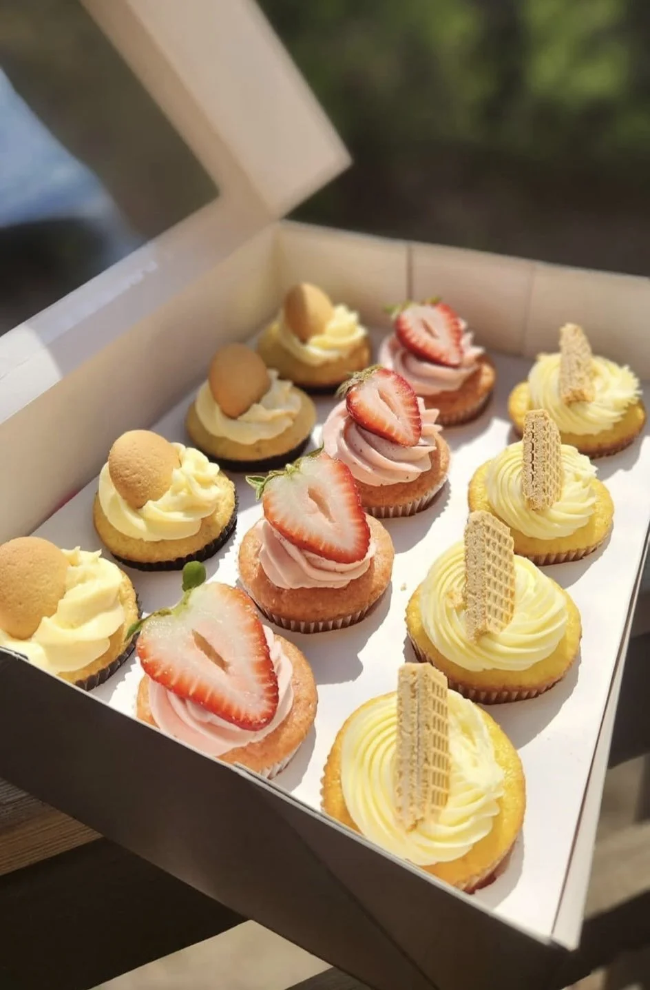 513618341701366799 2.jpg