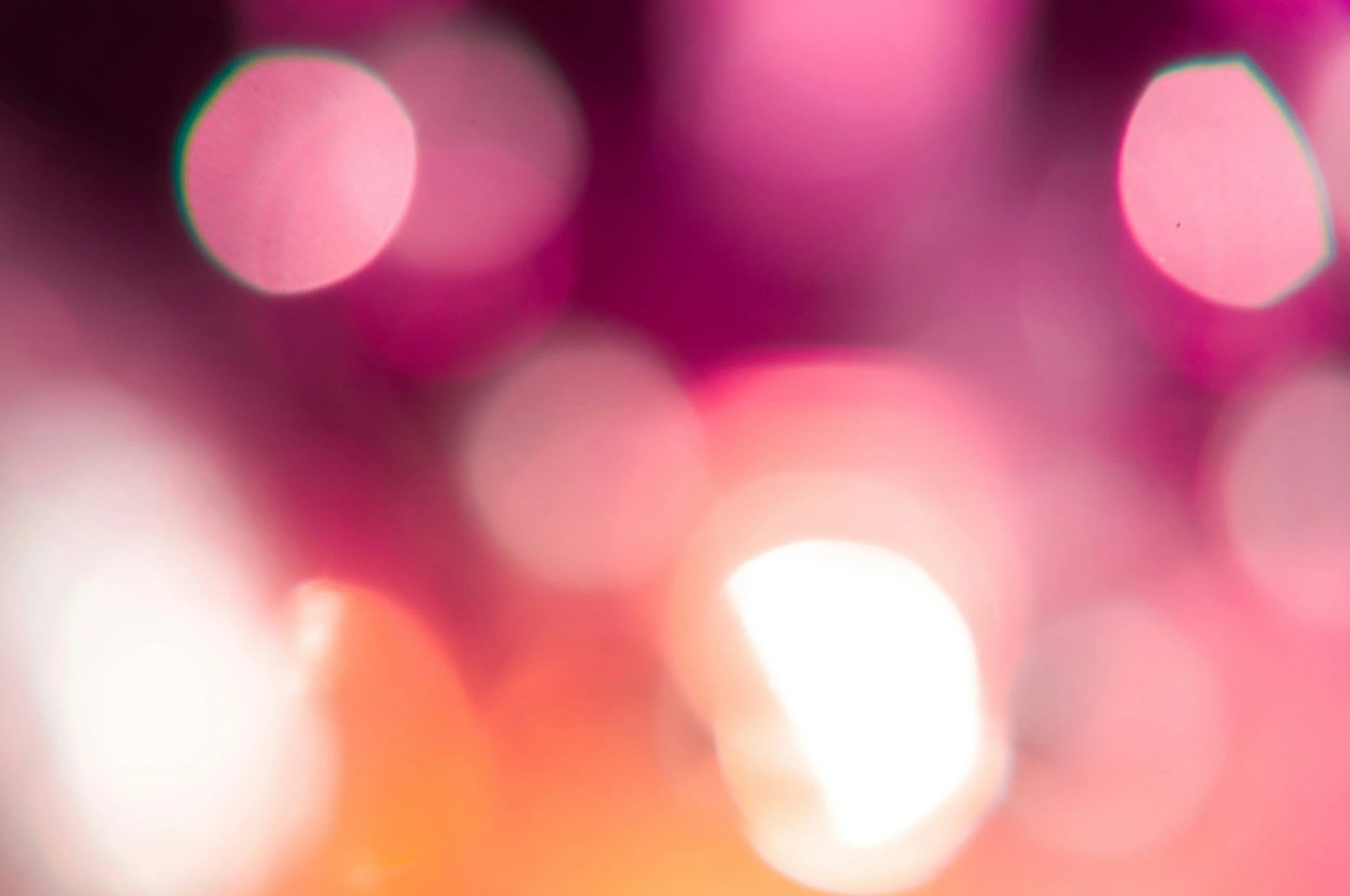 Anastasiia Gudantova • Unsplash