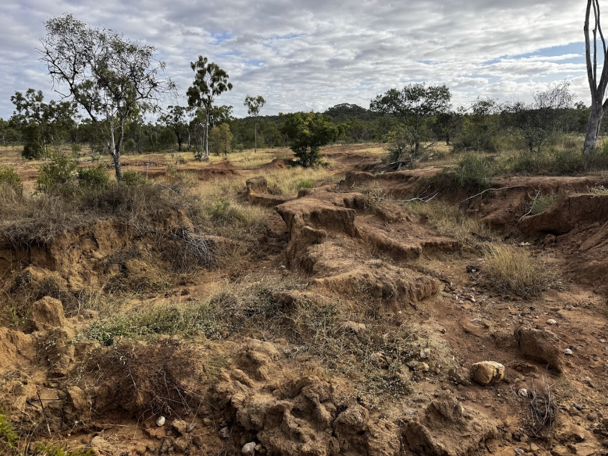 Dry, rocky dirt trail through a semi-arid landscape with sparse trees and shrubs under a partly cloudy sky.