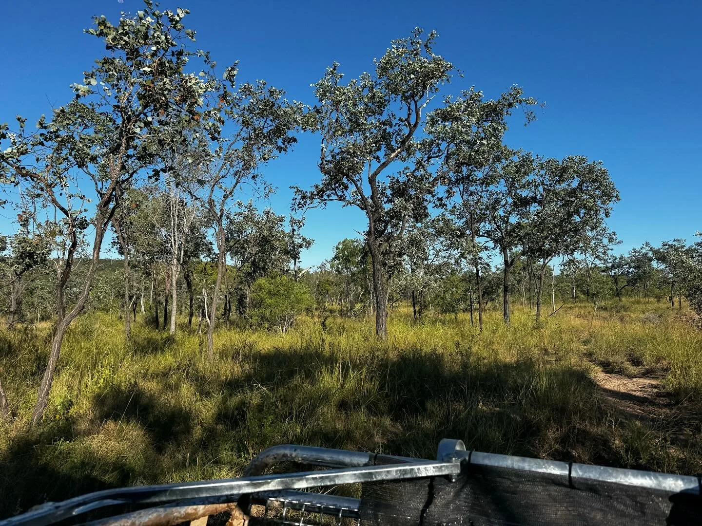 It&rsquo;s that time of year when we&rsquo;re in between seasons - wet and dry.
This when we have to be flexible with our paddock rotations, are we going to keep going with our faster wet season shifts so that the country and recover ready for anothe