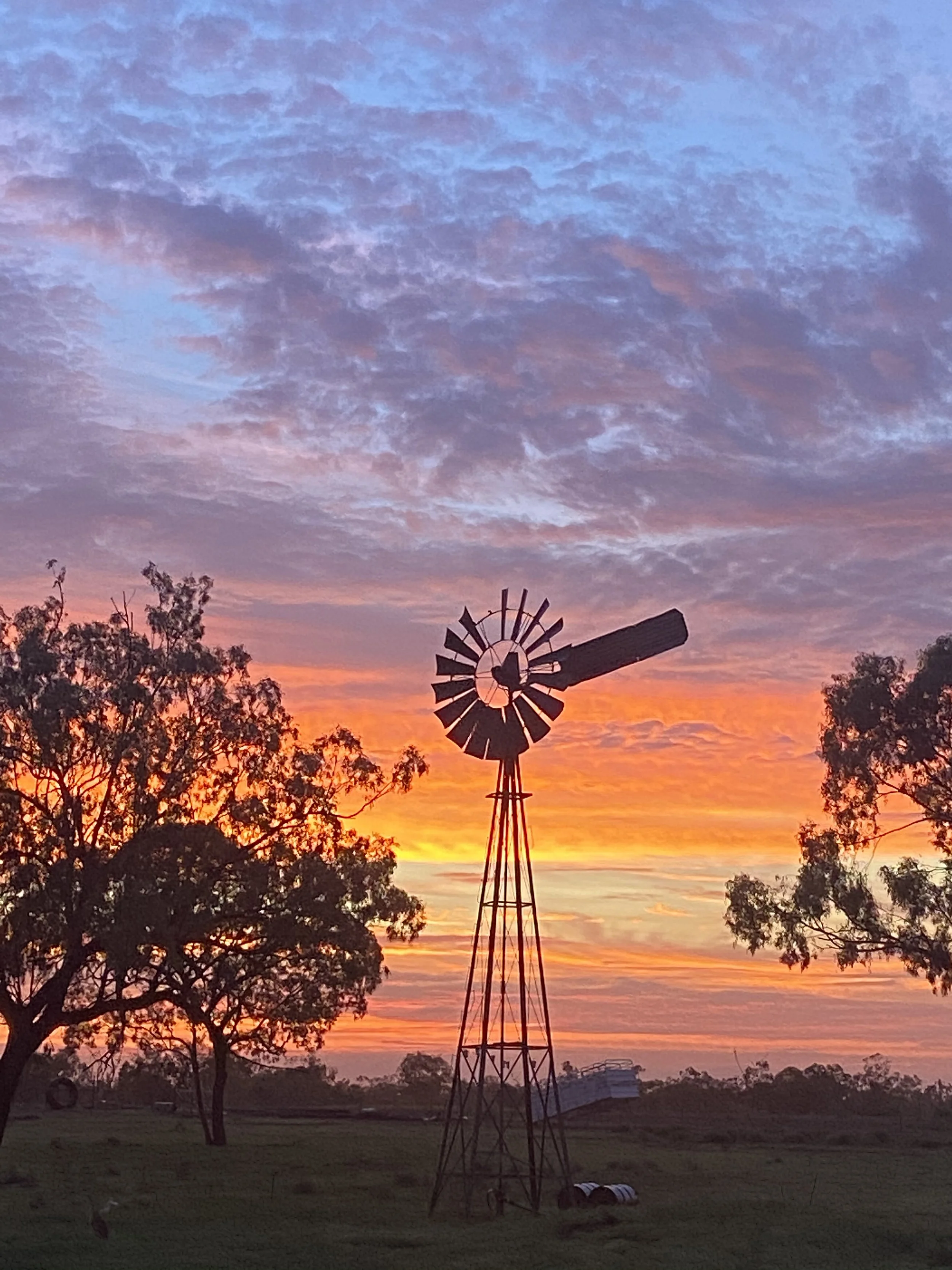 Silhouette of a windmill against a colorful sunset sky with pink, purple, and orange clouds and trees in the background.