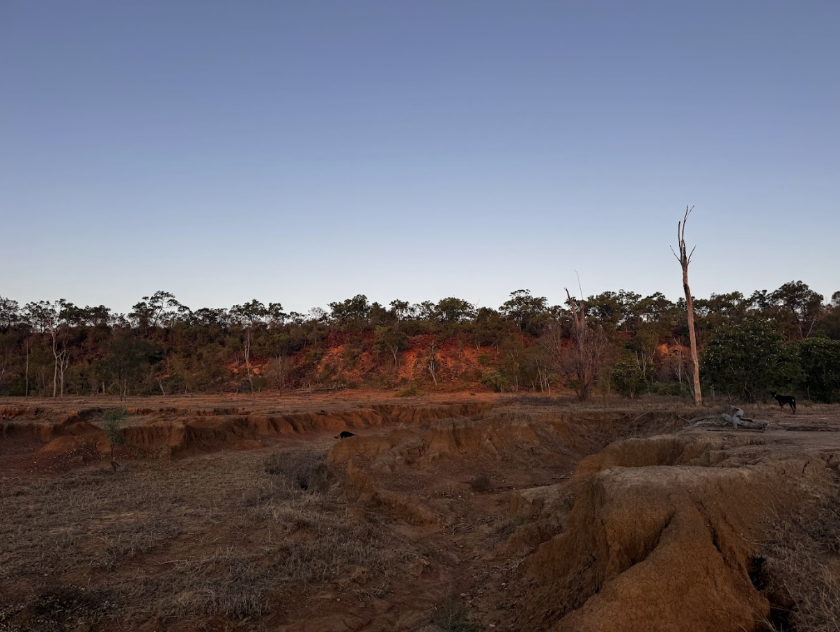 A dry, rugged landscape with reddish-brown soil, sparse vegetation, and a few bare trees. A small hill with a line of trees is visible in the background, under a clear blue sky.