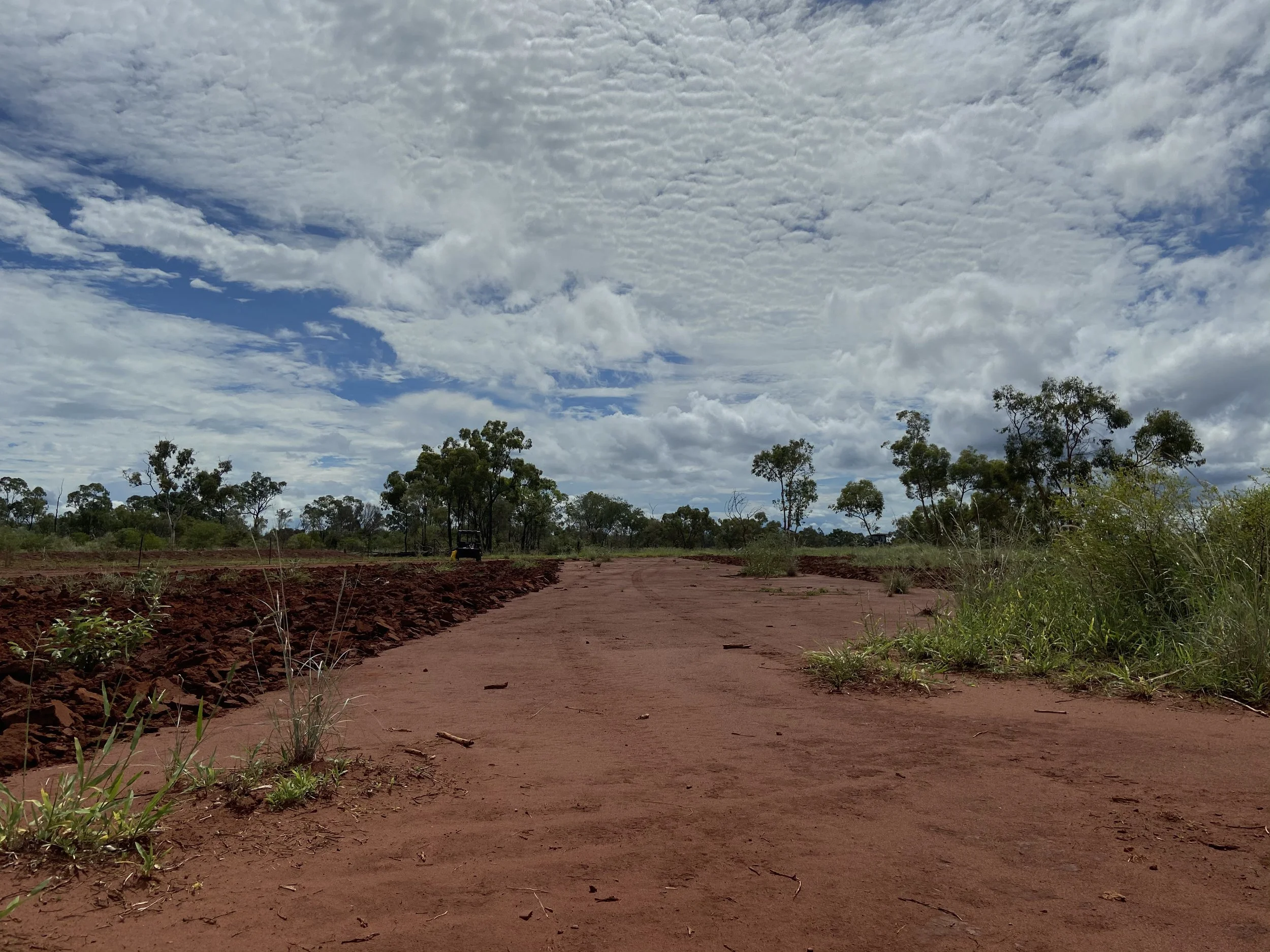 Dirt road in a rural area with trees and overcast sky.