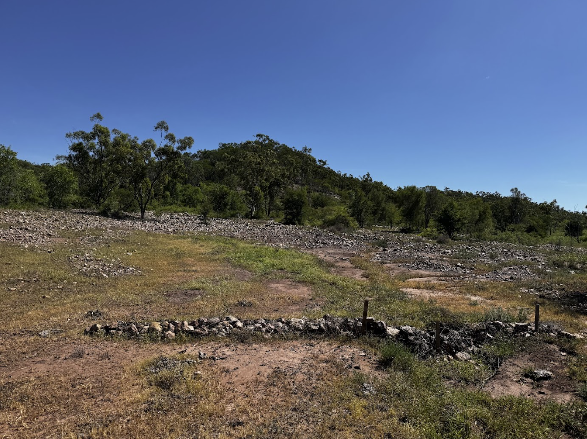 A dry grassy field with small rocks and sparse vegetation, bordered by a stone wall, with a line of trees and a hill in the background under a clear blue sky.