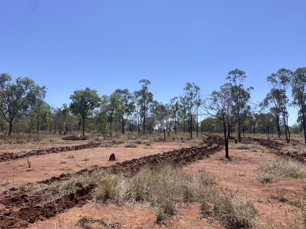 A dry landscape with sparse trees and a blue sky, showing a trench or dirt path running through the area.