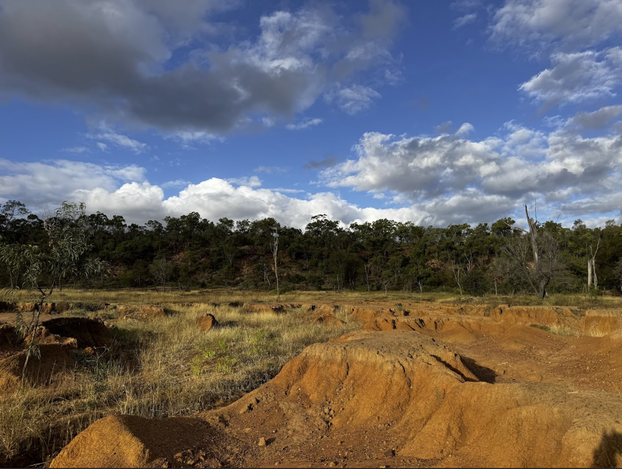 A dry, sandy landscape with patches of grass and small bushes, a line of trees and hills in the background, and a partly cloudy sky.