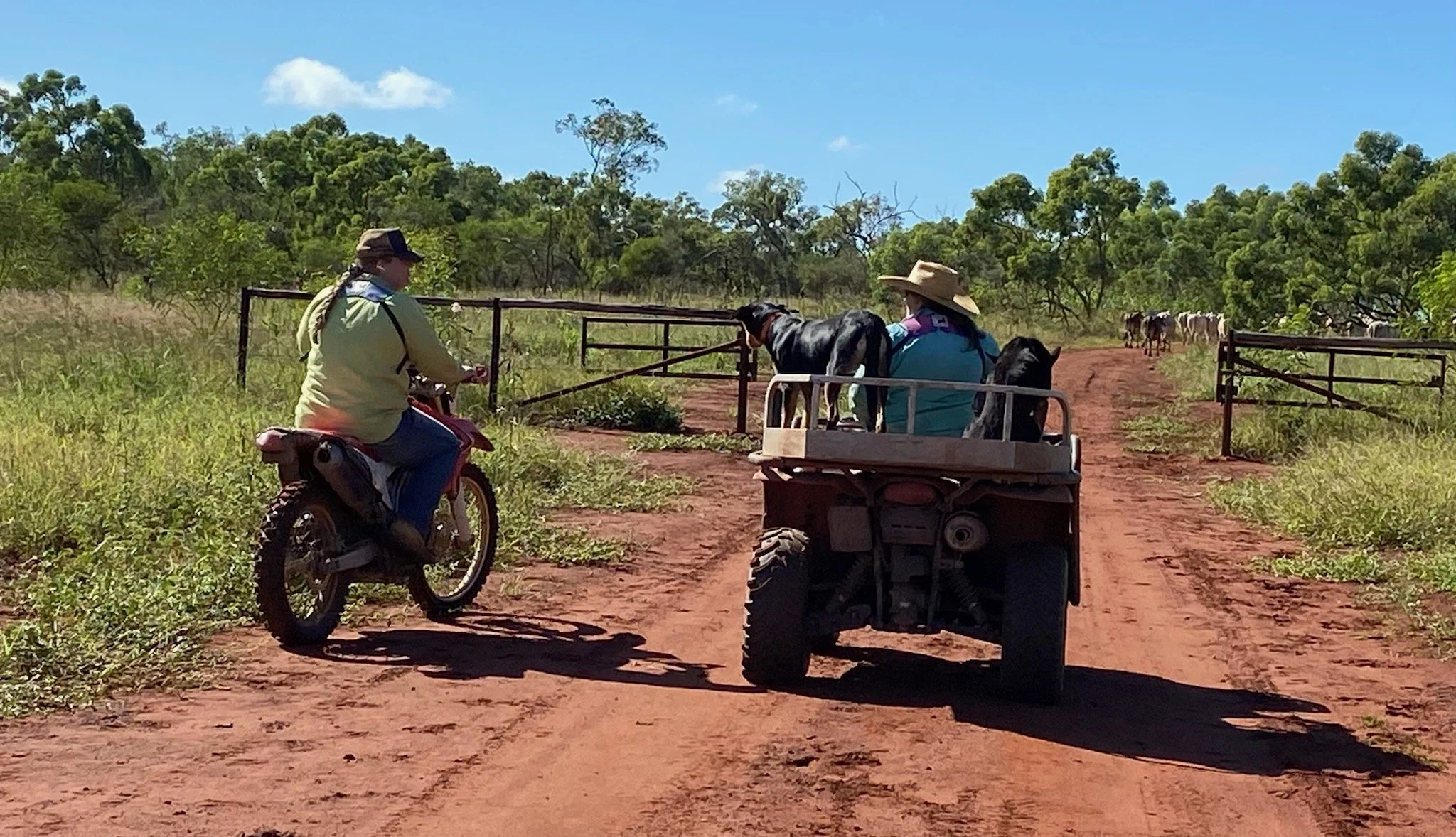 People on a dirt road with horses, an ATV, and a fence in a rural area surrounded by trees under a blue sky.