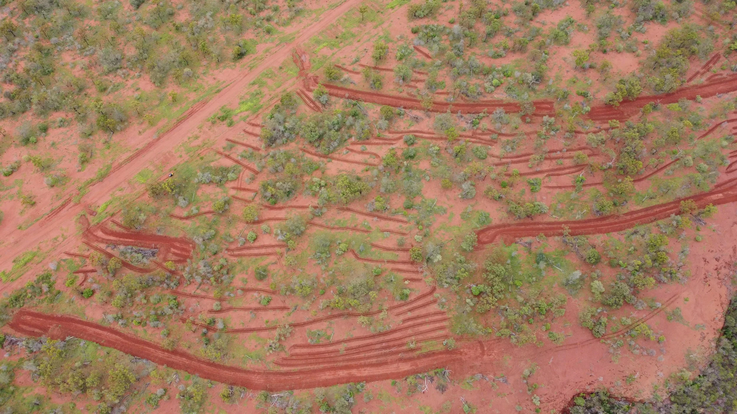 Aerial view of a red dirt trail winding through sparse green trees in a dry landscape.
