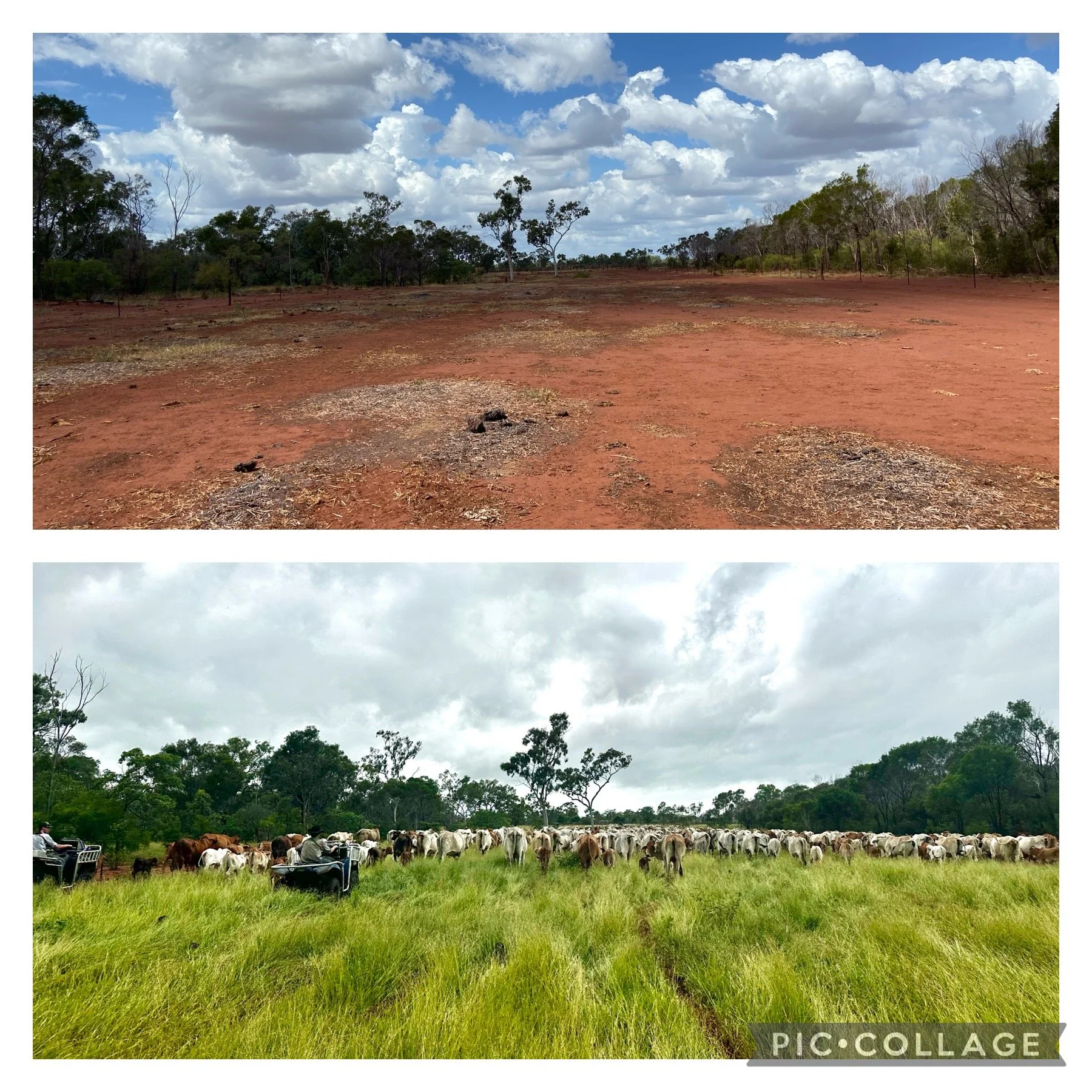 Top image shows a dry, red dirt field with a fence and sparse trees under a partly cloudy sky. Bottom image depicts a green pasture with cows and horse-drawn wagons, surrounded by trees and a cloudy sky.