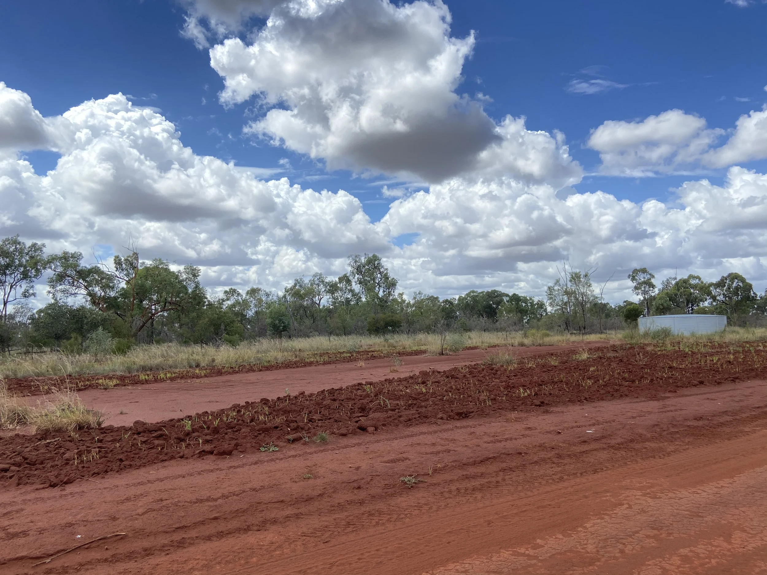 Rural landscape with red dirt road, sparse vegetation, trees in the background, and a blue sky with white clouds.