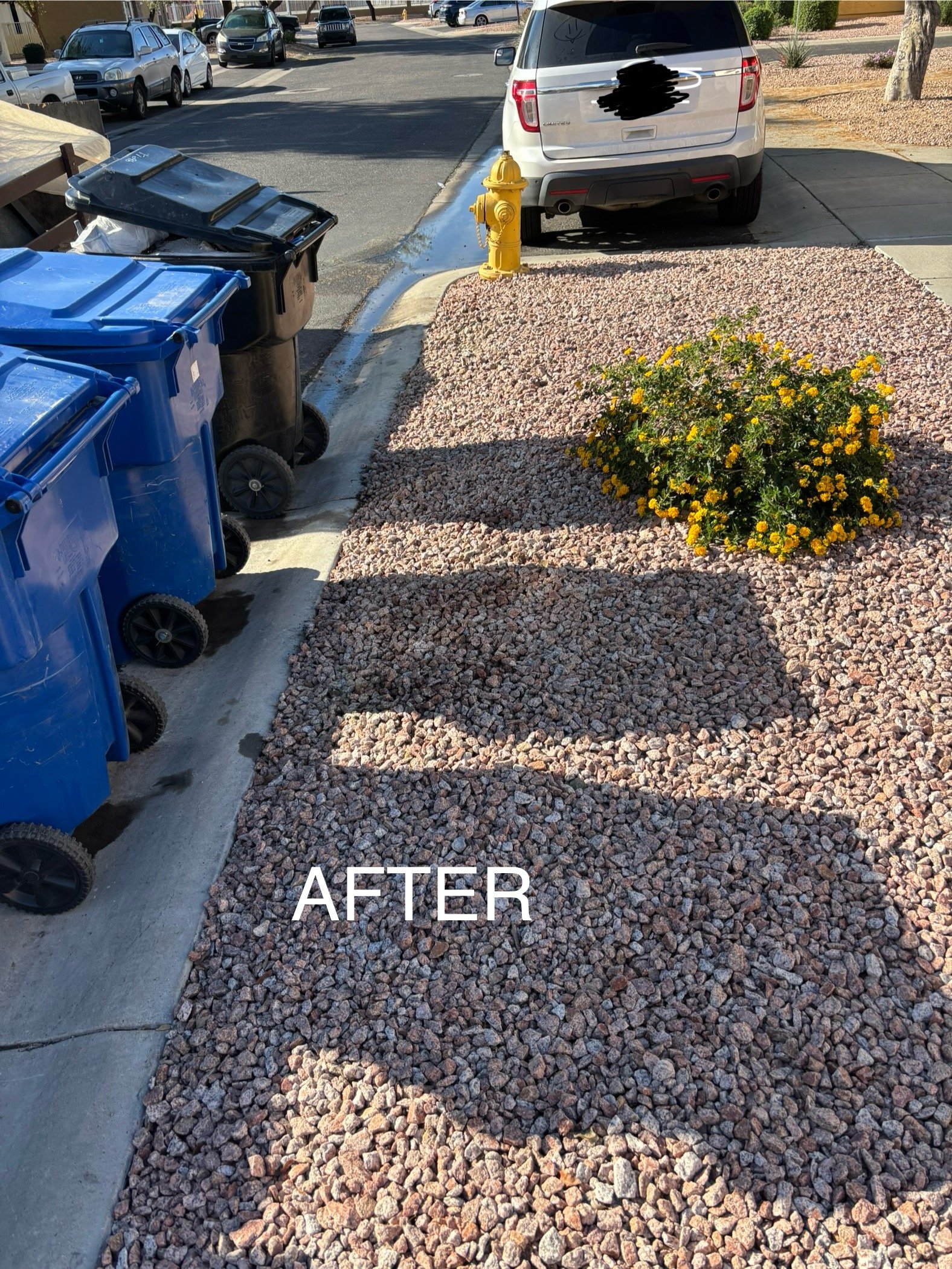 A sidewalk with clean gravel and a small yellow bush, a parked gray vehicle, and garbage bins on the left. A yellow fire hydrant is visible, with shadows cast across the gravel.
