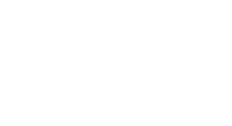 Pearland's Main Street Dojo