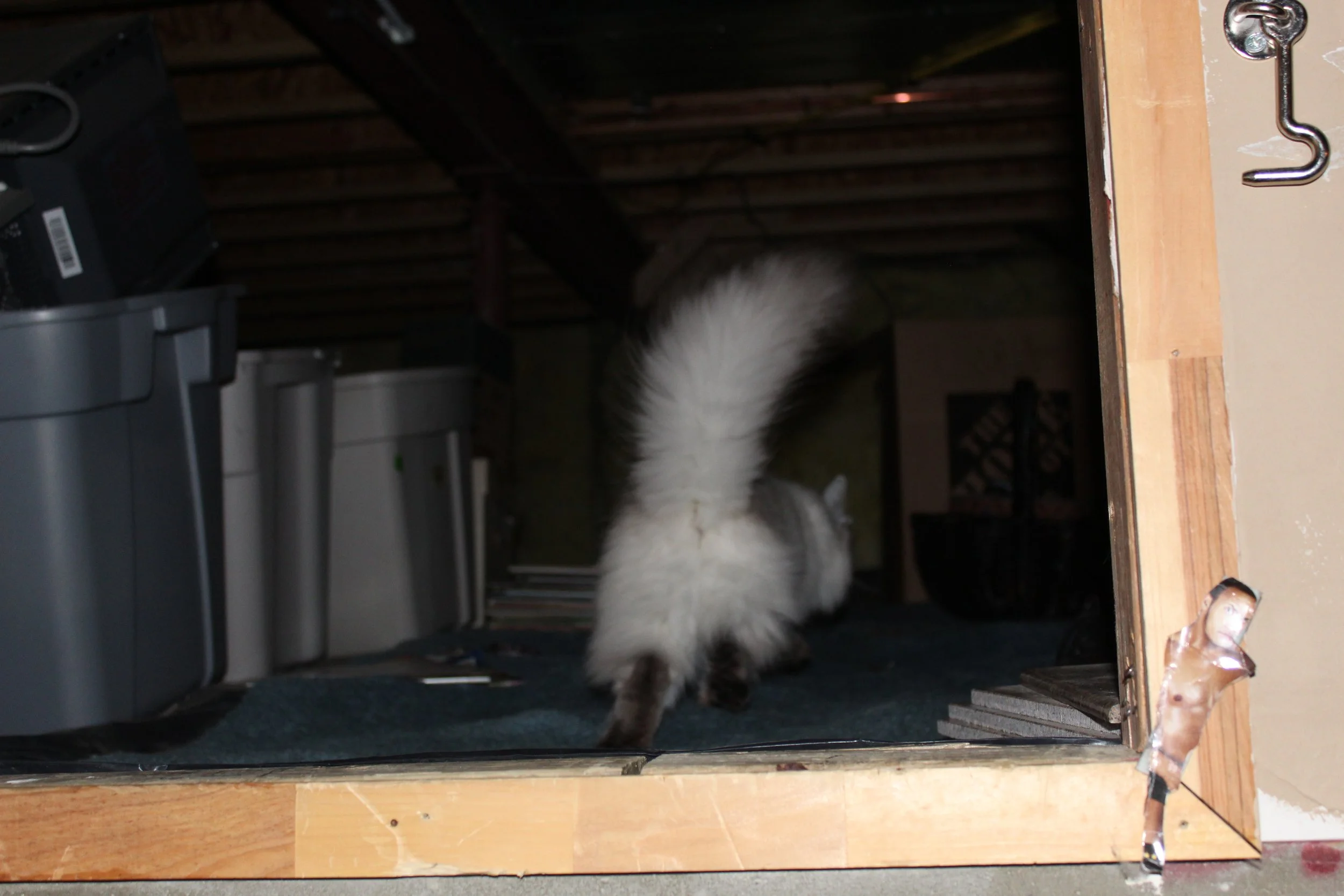 Spirit in the Rocks Locker
