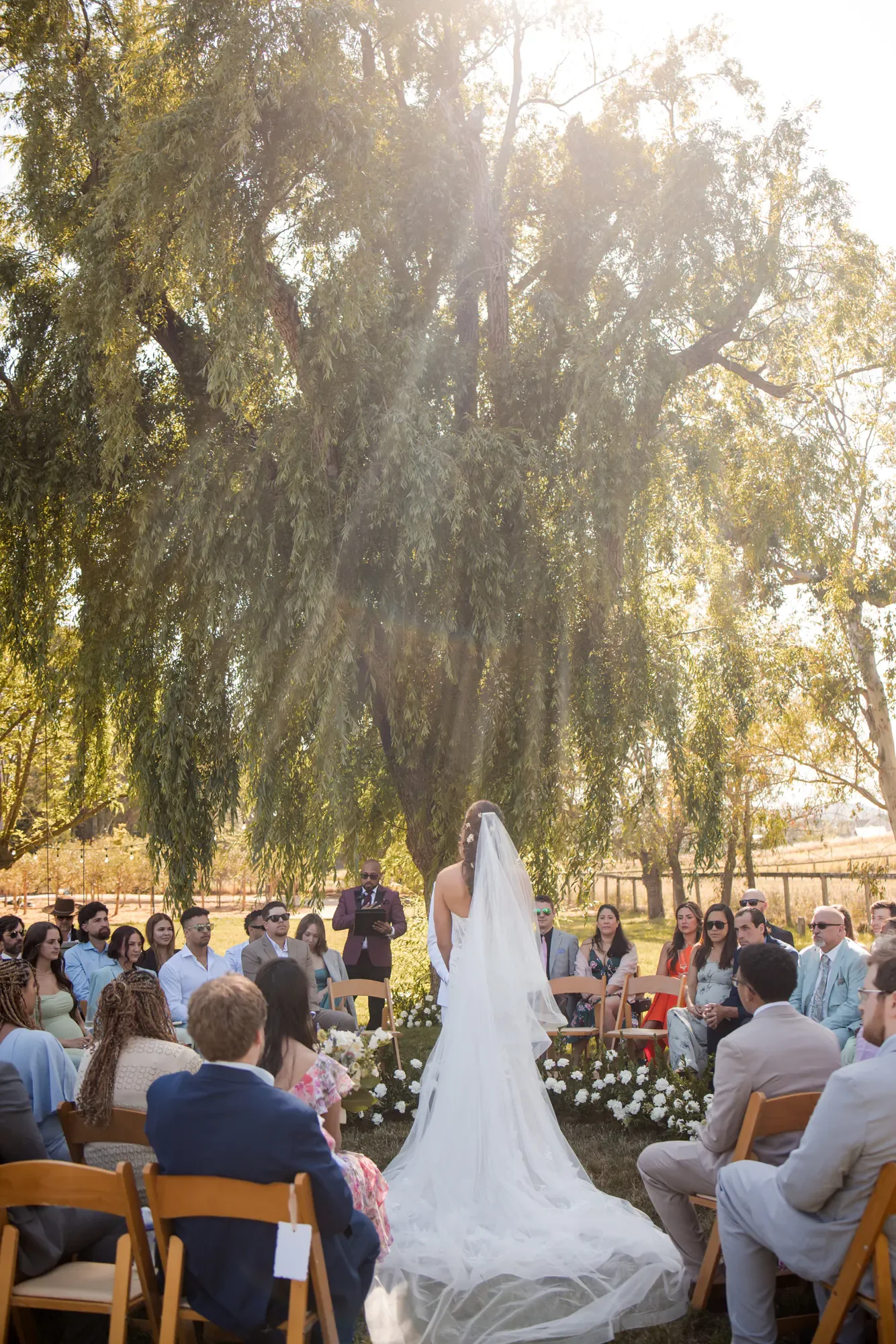 Wedding ceremony taking place outdoors under a large tree with sunlight streaming through, with the bride in a white gown and veil standing in front of seated guests.