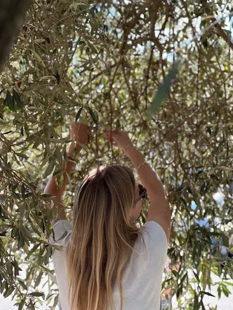 A woman with long blonde hair and sunglasses reaching up into the branches of an olive tree.