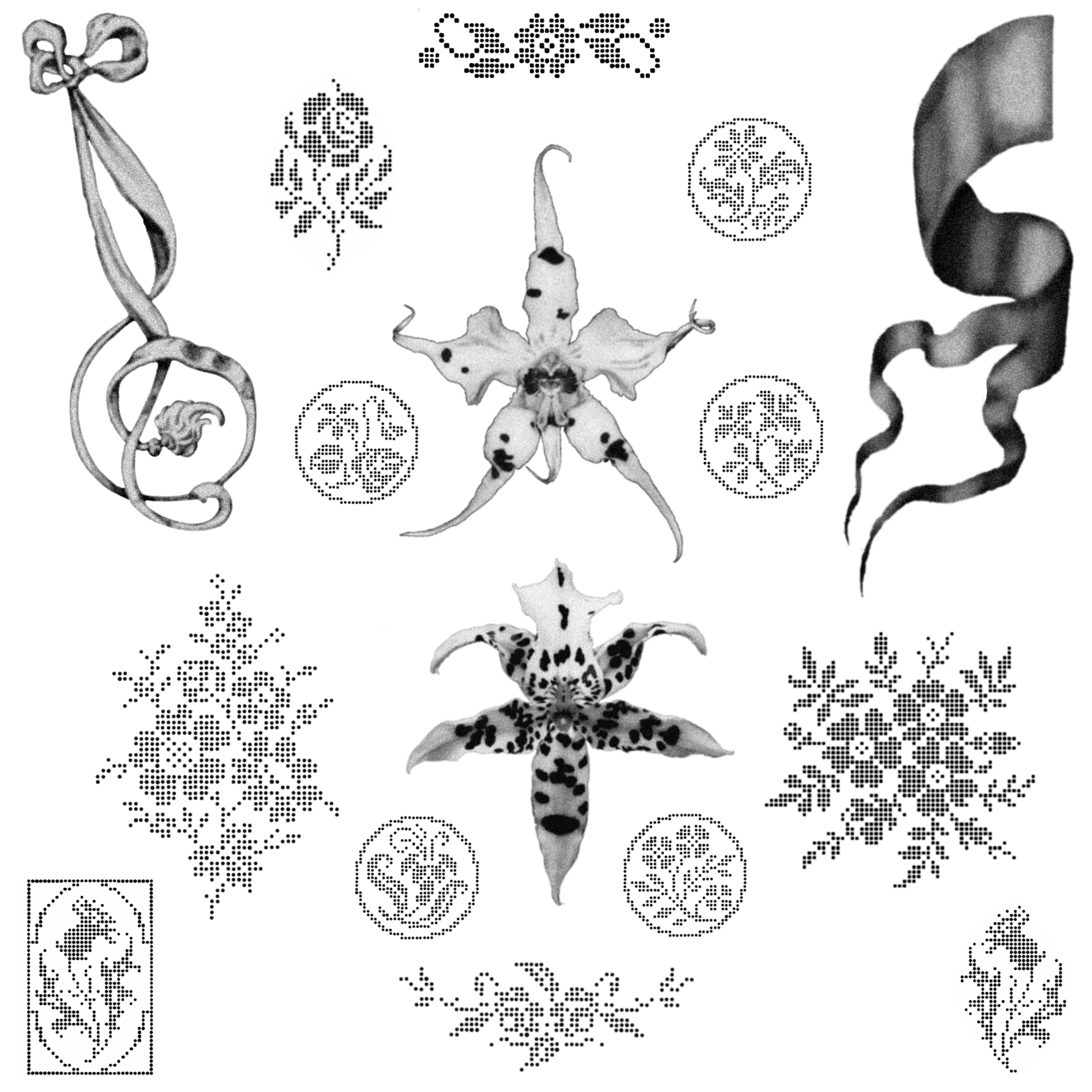 Untitled_Artwork 8.png