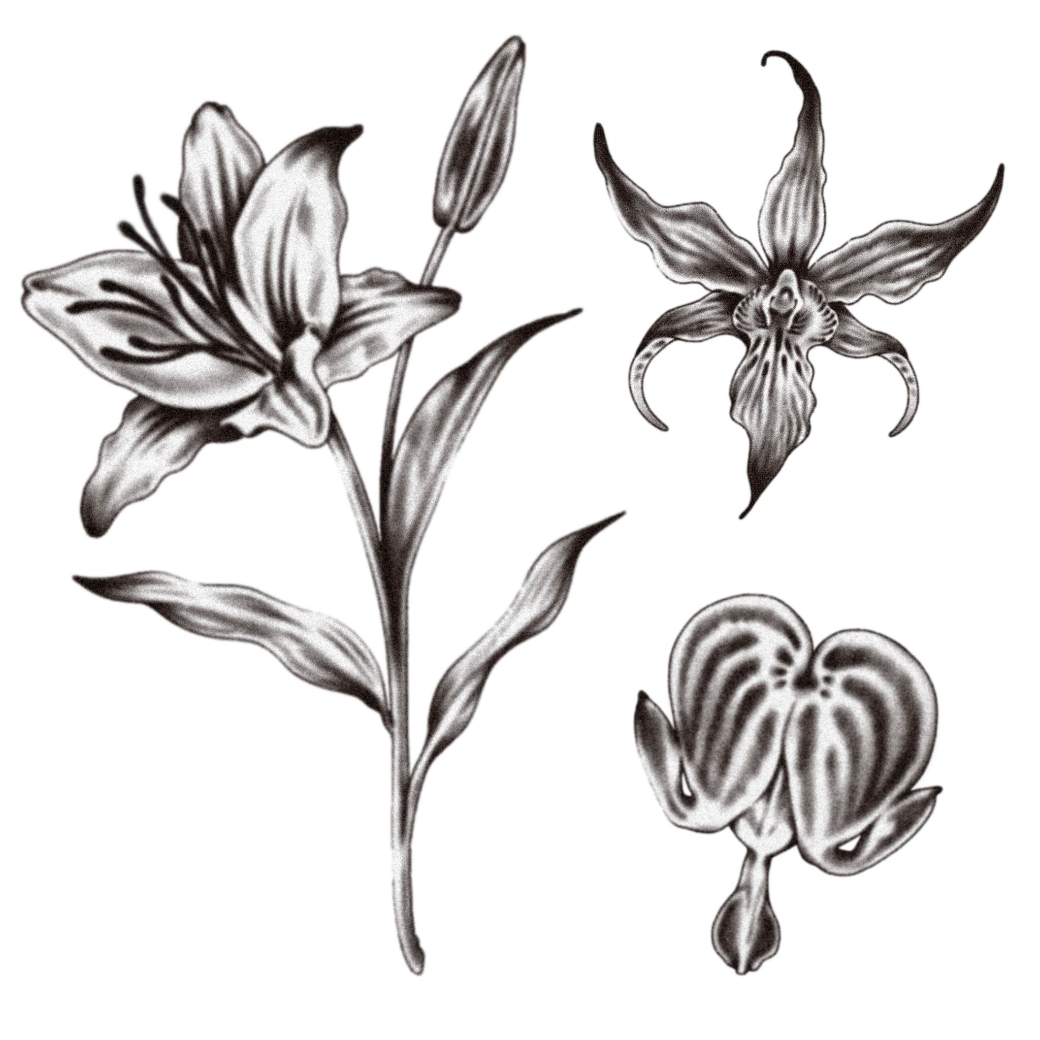 Untitled_Artwork 7.png