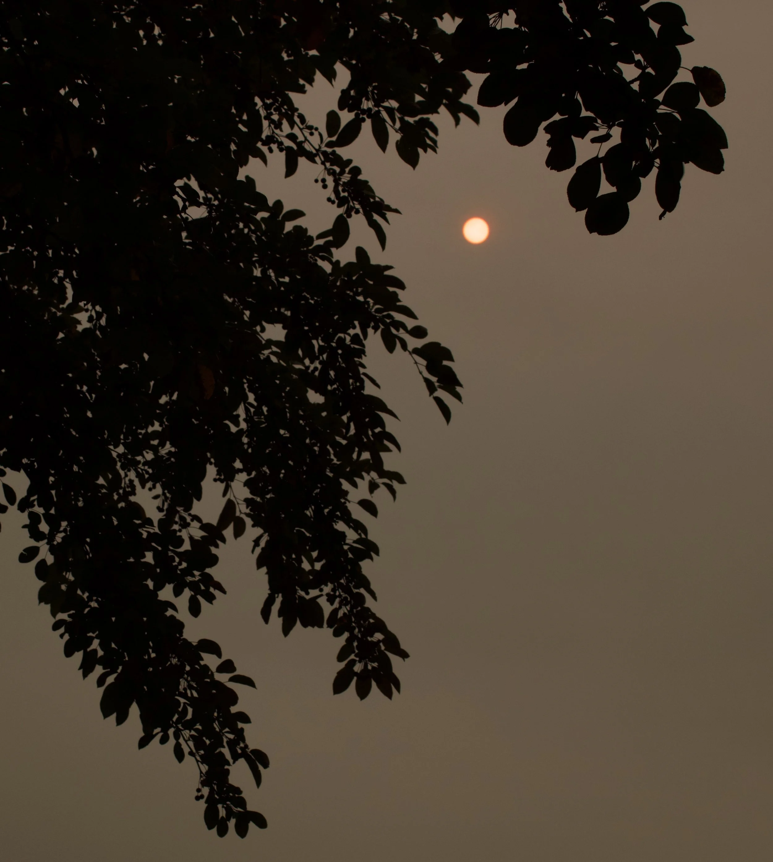 IMG_1724.jpeg