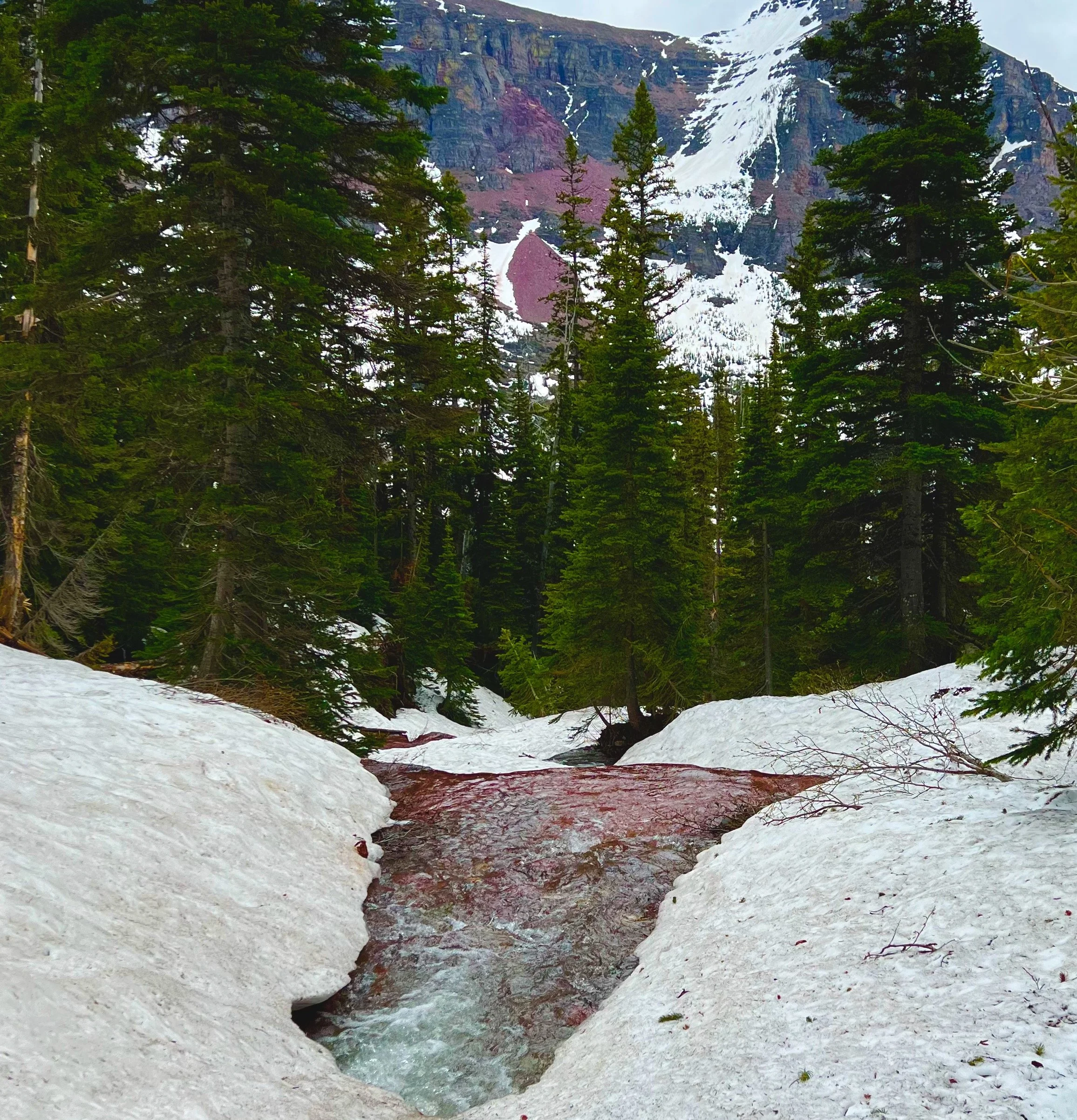 June 2022 - Browning, MT