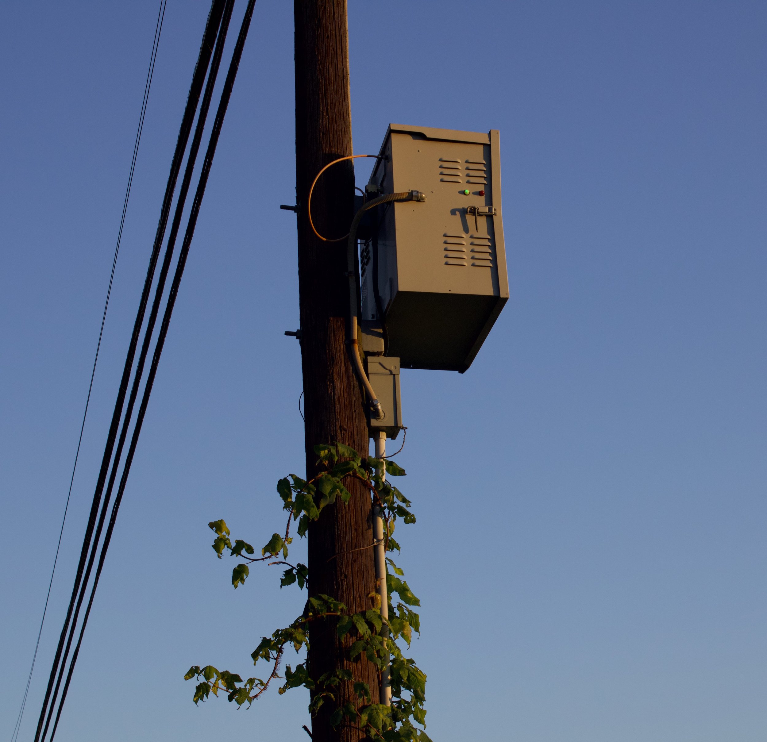 IMG_4274.jpeg