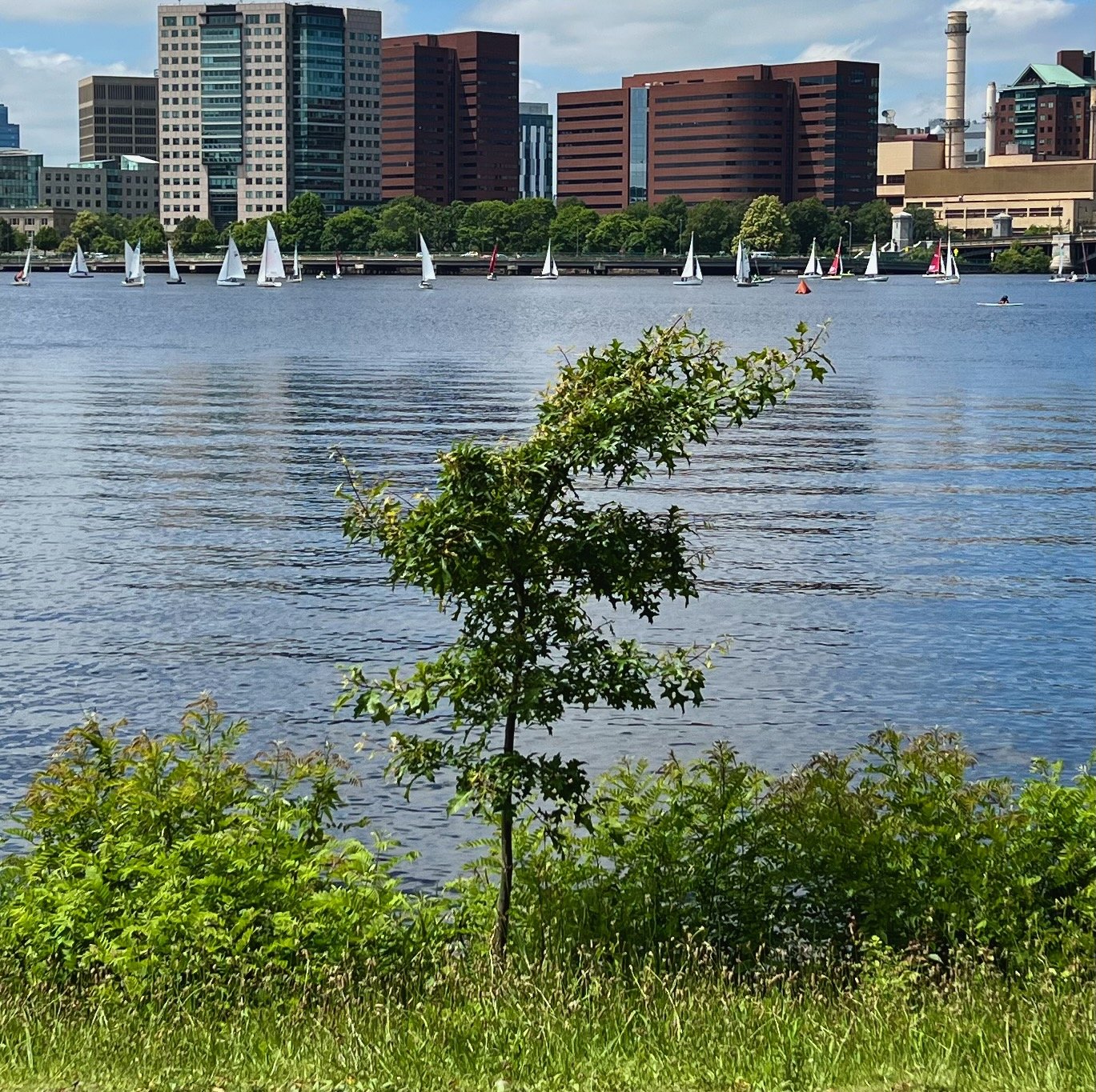 June 2023 - Boston, MA