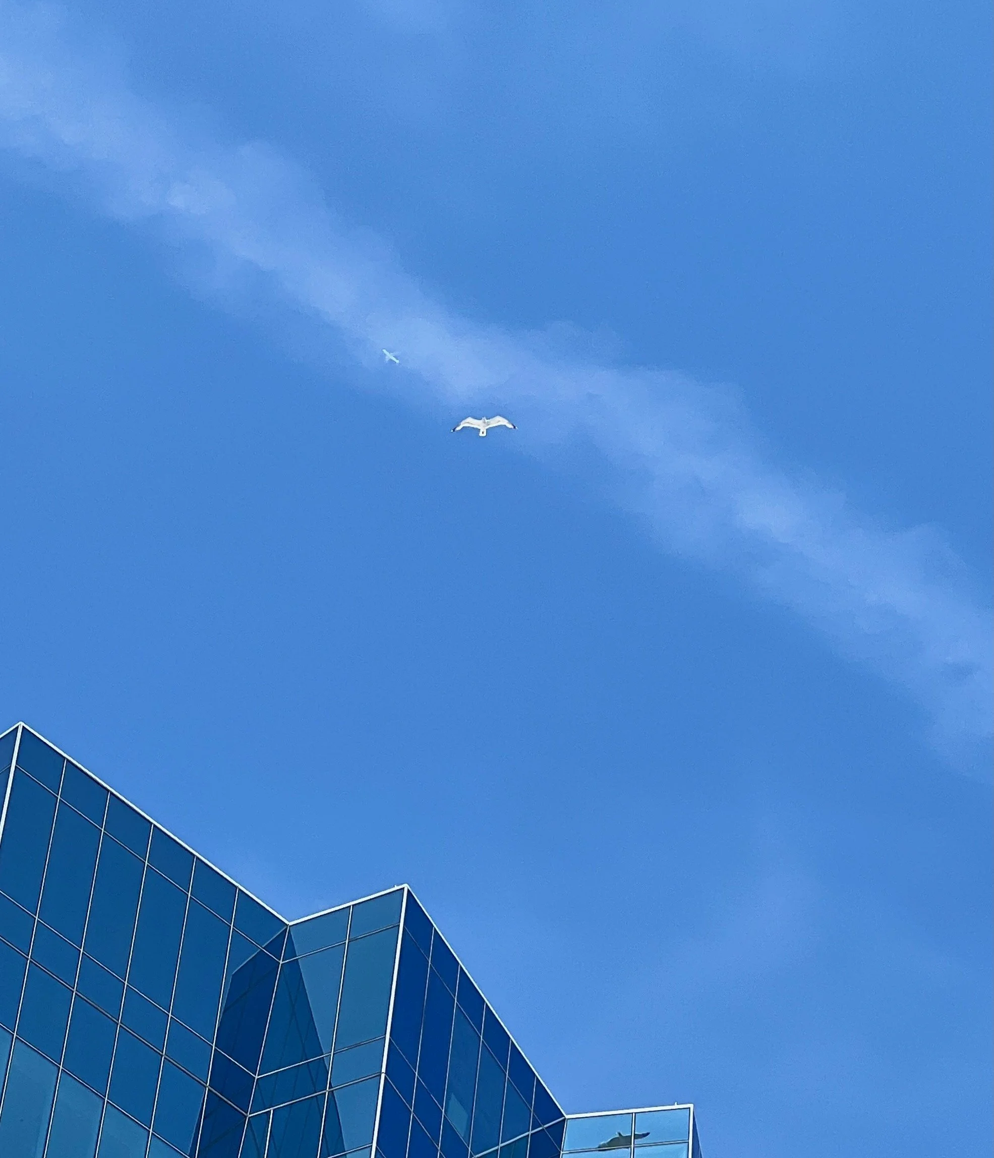 June 2023 - Boston, MA