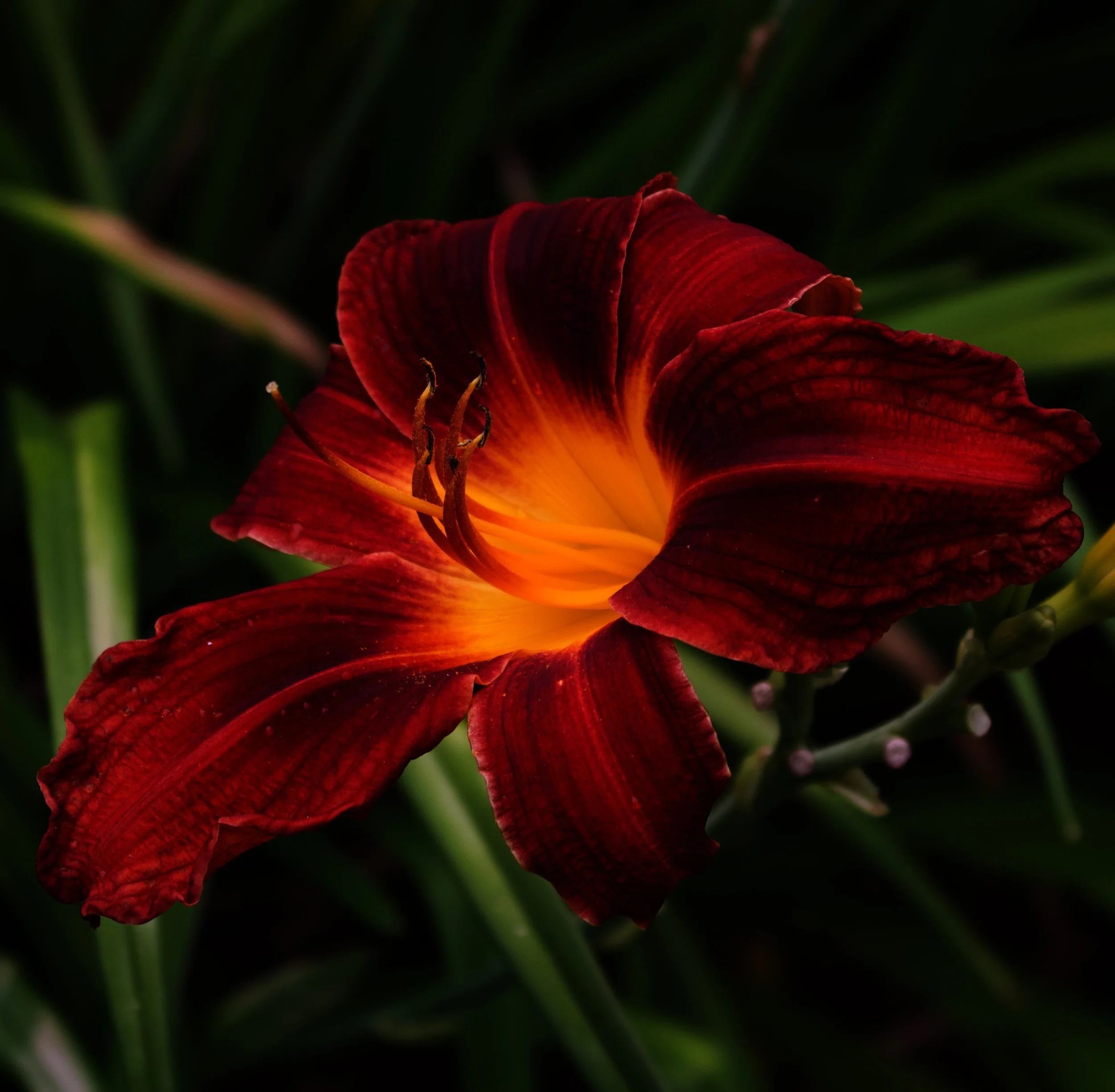 IMG_1643.jpeg