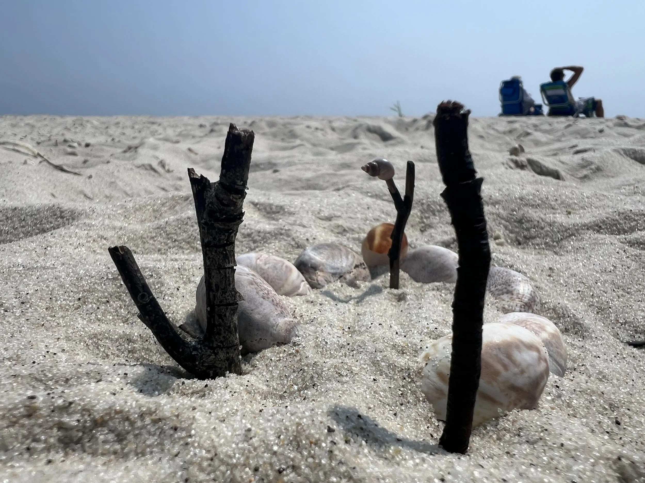 July 2024 - Cape Cod, MA