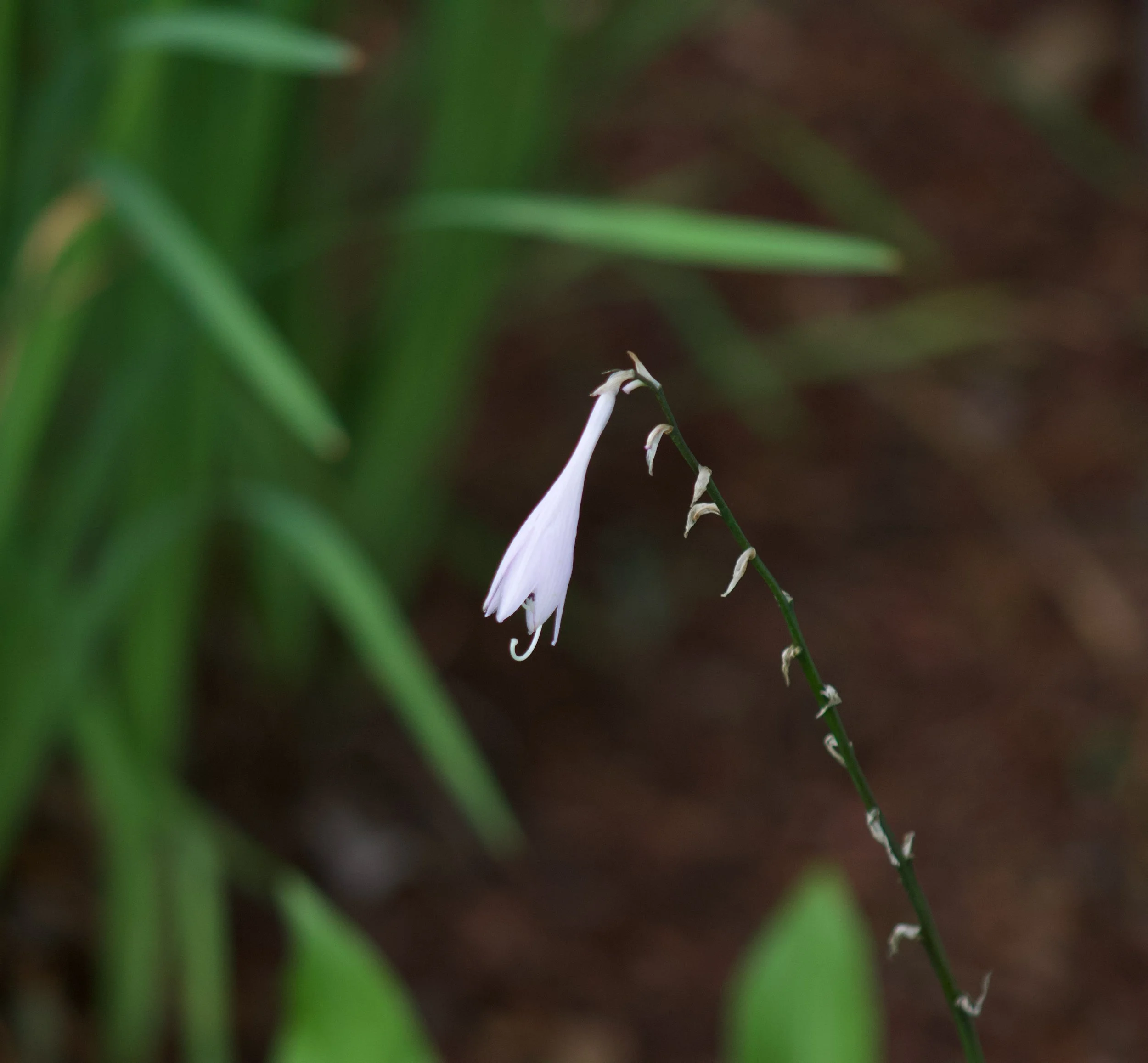 IMG_3476.jpeg