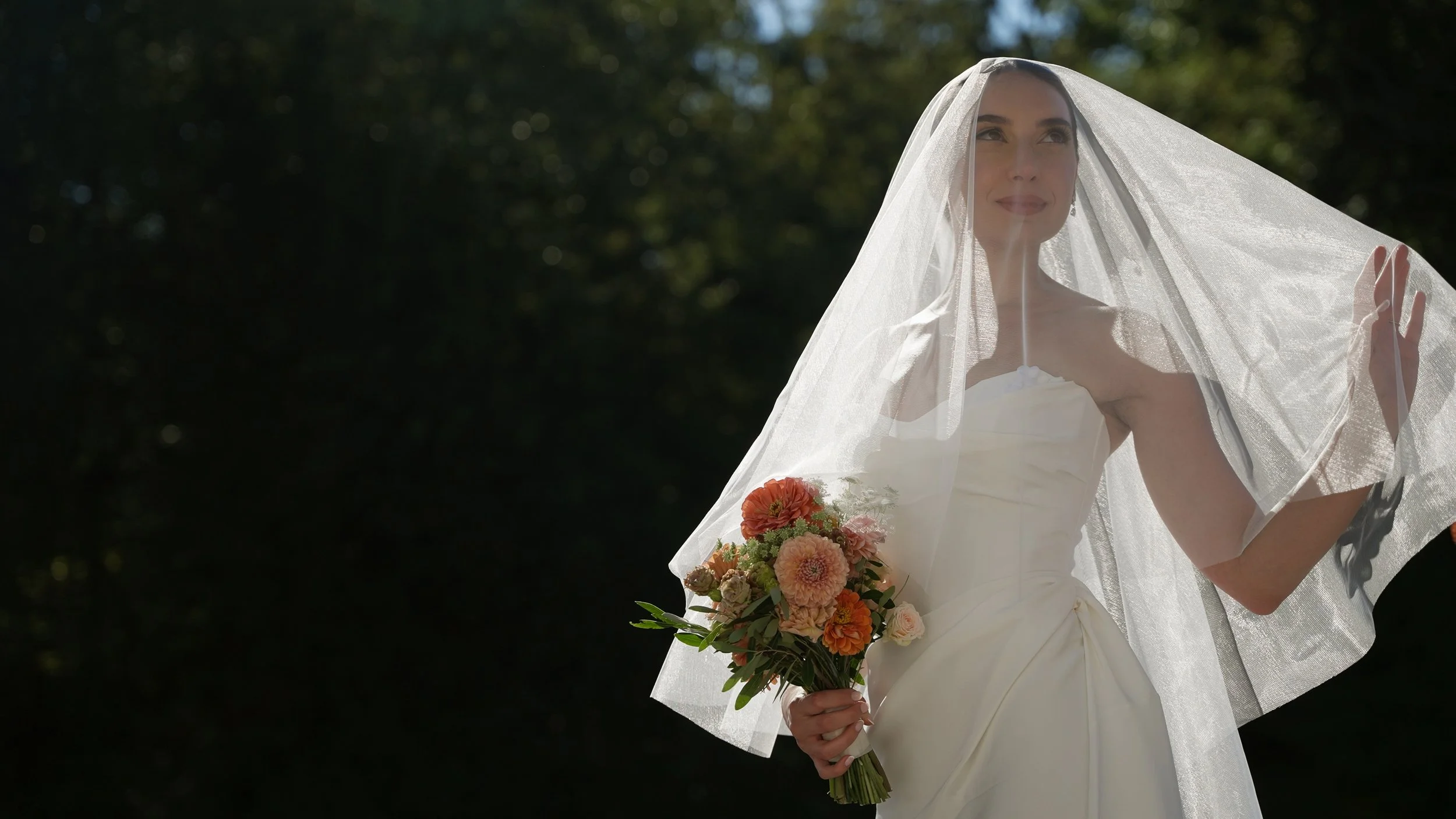 Still 2025-11-15 131658_3.9.1.jpg