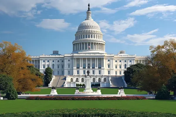 The 29 AIs of Washington D.C.