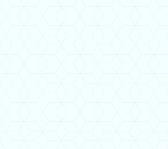 A blank background with a light hexagonal grid pattern.