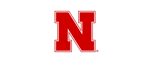 Red letter N logo on a white background.