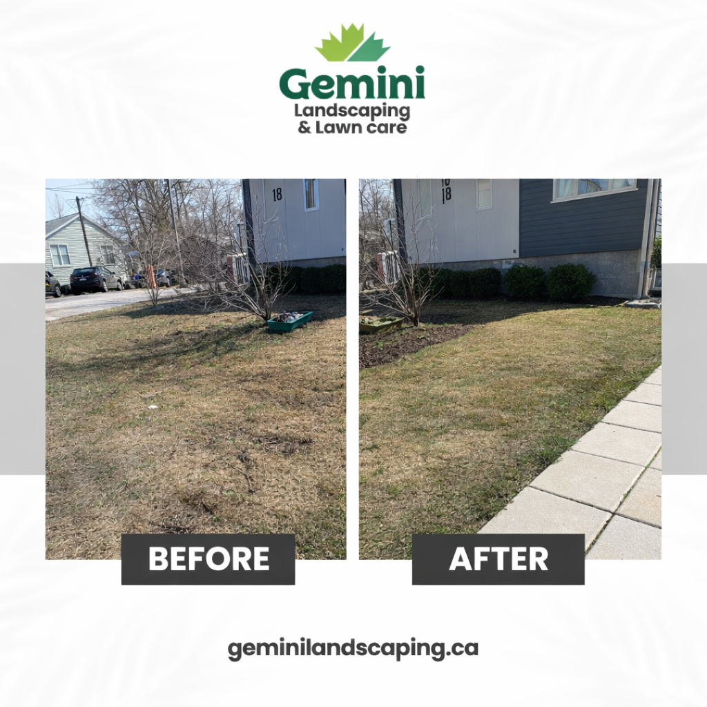 Side-by-side comparison of a front yard before and after landscaping work with the Gemini Landscaping & Lawn Care logo at the top.
