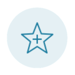 An icon of a star with a plus sign inside it, outlined in blue.