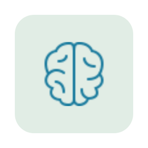 A stylized illustration of a human brain, divided into two halves, in blue outline on a light background.