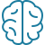 A detailed illustration of a human brain with highlighted neural connections