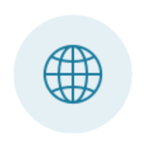 A blue globe icon on a light background.