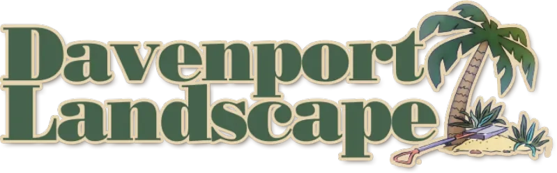Logo for Davenport Landscape featuring a palm tree, rocks, and a trowel.